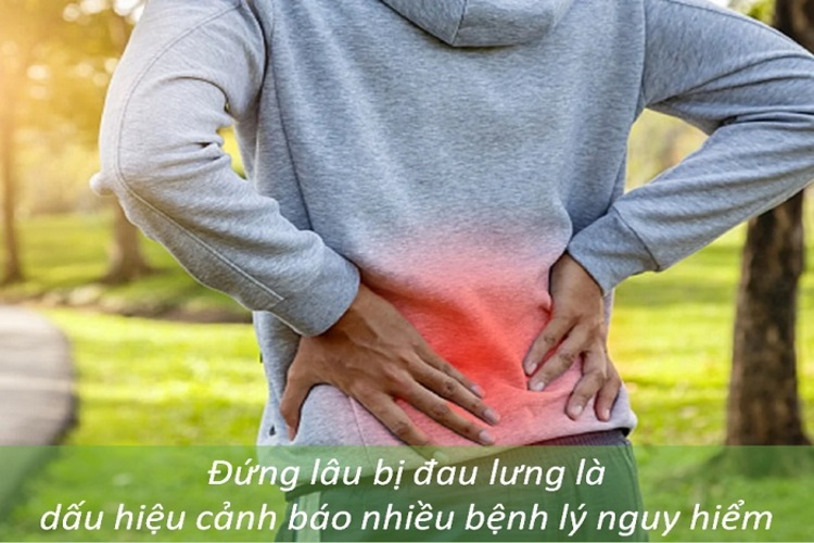 Đứng lâu bị đau lưng có nguy hiểm? Cách giảm đau nhanh tại nhà!